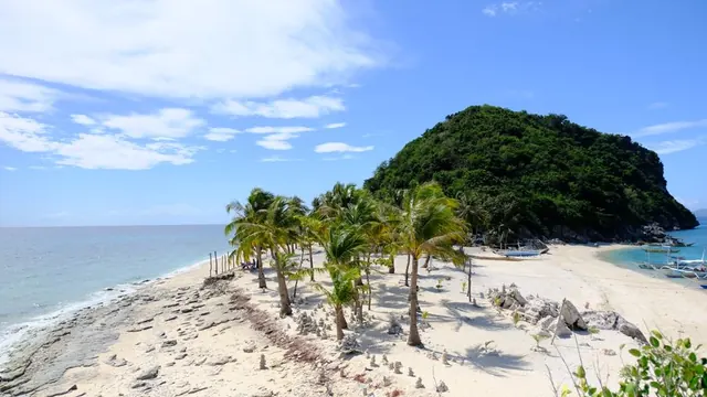 Palm-lined coastline and open sea